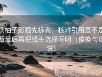 读柚子影视先拆壳：核对引用是不是断章后再把镜头选择写明（像换句话说）