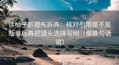 读柚子影视先拆壳：核对引用是不是断章后再把镜头选择写明（像换句话说）