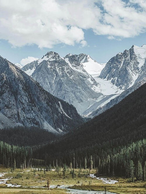 星空影院读图小手势：盯引用是不是断章，立刻把相关写回相关（读完更清楚）